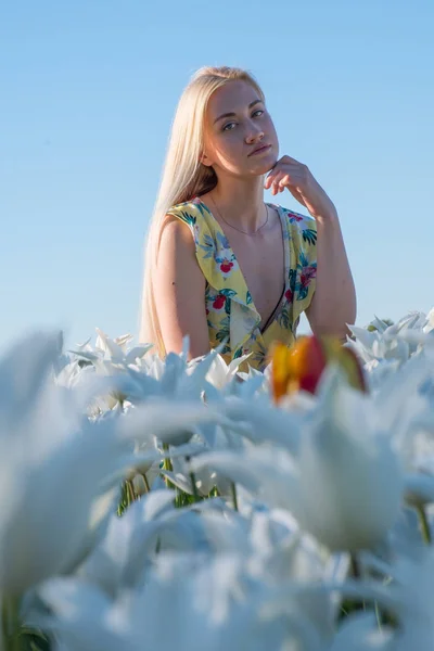 Blondes Mädchen Den Feldern Der Tulpen Lisse — Stockfoto