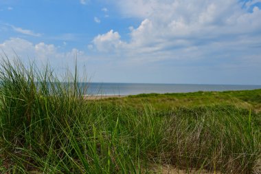 Kuzey Denizi ve plaj manzara