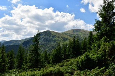 Karpat Dağları'nın üst