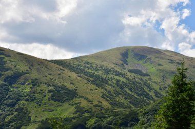 Karpat Dağları'nın üst