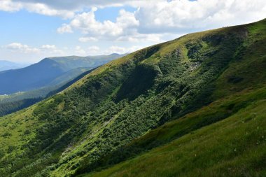 Karpat Dağları'nın üst