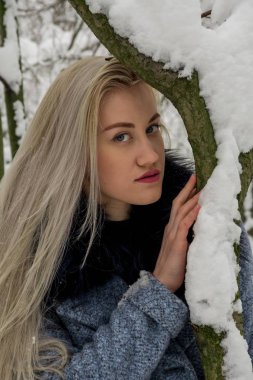 Kış ormanda sarışın