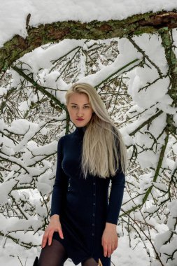 Kış ormanda sarışın