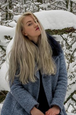 Kış ormanda sarışın