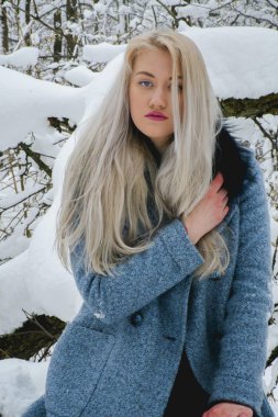 Kış ormanda sarışın