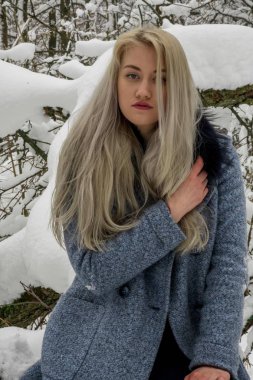 Kış ormanda sarışın