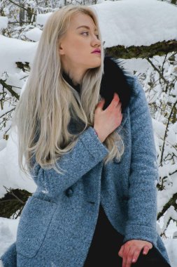 Kış ormanda sarışın