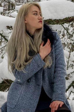 Kış ormanda sarışın