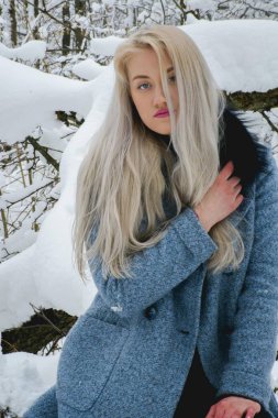 Kış ormanda sarışın