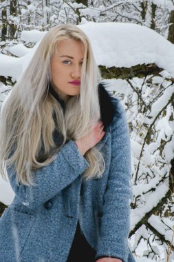 Kış ormanda sarışın