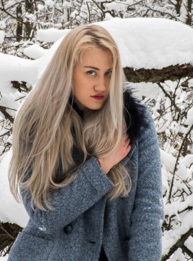 Kış ormanda sarışın