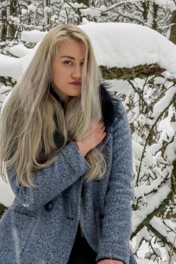 Kış ormanda sarışın