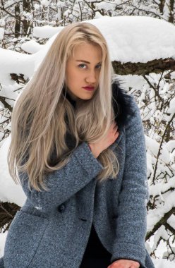 Kış ormanda sarışın