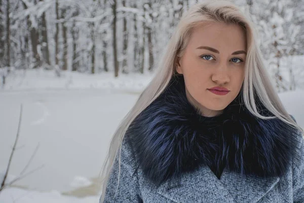 Blondine Winterwald — Stockfoto