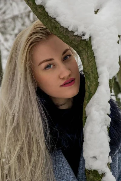 Блондинка Зимнем Лесу — стоковое фото