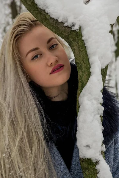 Blondine Winterwald — Stockfoto