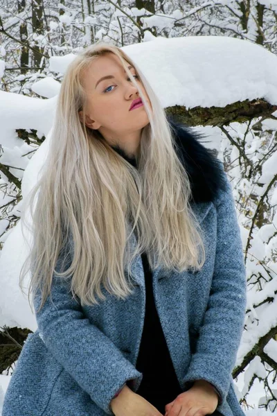 Kış ormanda sarışın