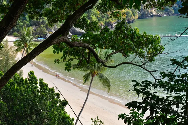 Thailand Island Beach. Rocks tropiska kusten Asien och Palm Tree — Stockfoto