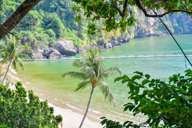 Tayland Adası Plajı. kayalar Tropikal Sahil Asya ve palmiye ağacı