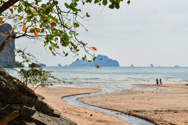 Tayland Kayalar ve Adalar. kayalar ile deniz. Kayalar ve bitki örtüsü