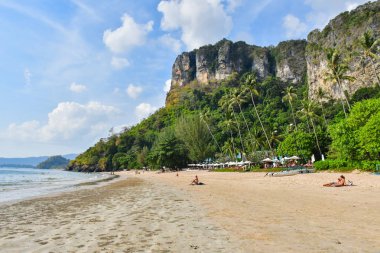 Tayland Kayalar ve Adalar. kayalar ile deniz. Kayalar ve bitki örtüsü