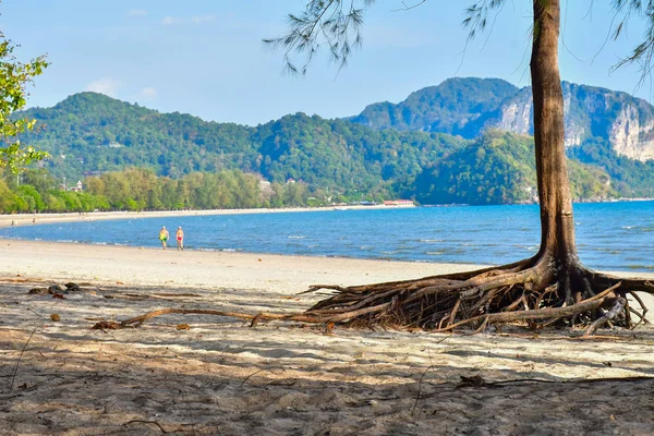 タイアイランドビーチ。岩熱帯海岸アジアとヤシの木 — ストック写真