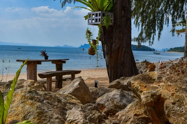 Таиланд Айленд Бич. пород Тропический берег Азии и пальмы — стоковое фото