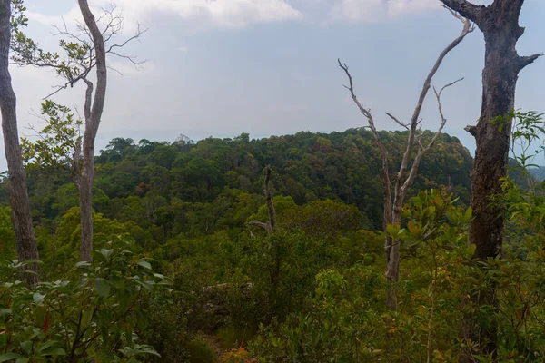 Mirador del sendero natural Tub Kaek Nak Hill. Provincia de Krabi. Thaila. — Foto de Stock