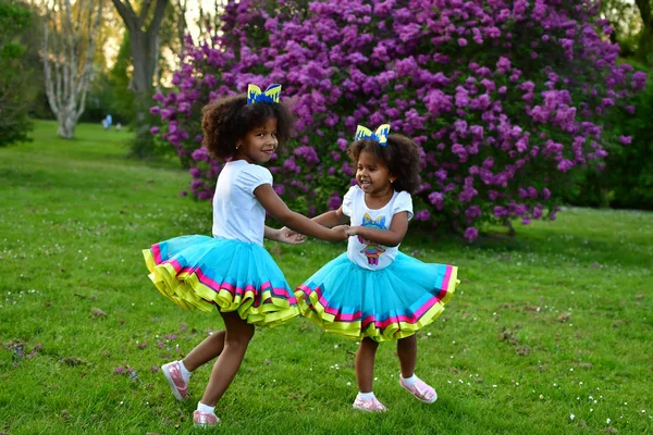 아프리카계 미국인 자매가 놀고있는 공원 에서 아프리카 Am — 스톡 사진