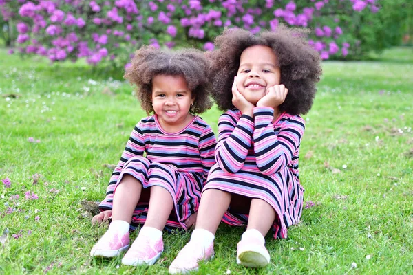Hermanas afroamericanas están jugando en el parkcurly African Am —  Fotos de Stock