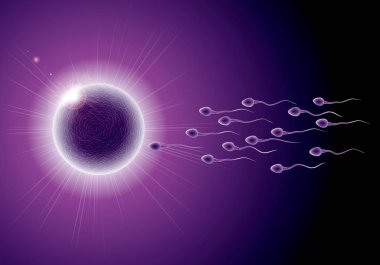 Fertilization process design, sperm and ovum combination. clipart