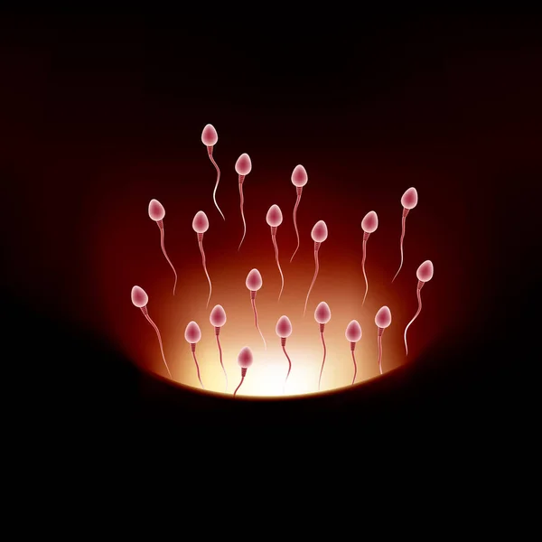 受精过程设计 精子和卵子组合 — 图库矢量图片
