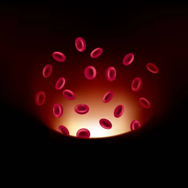 Globules Rouges Vecteurs Dans Artère — Image vectorielle