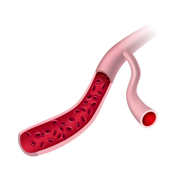 Векторная кровоток в артерии, изолированные на белом фоне
.