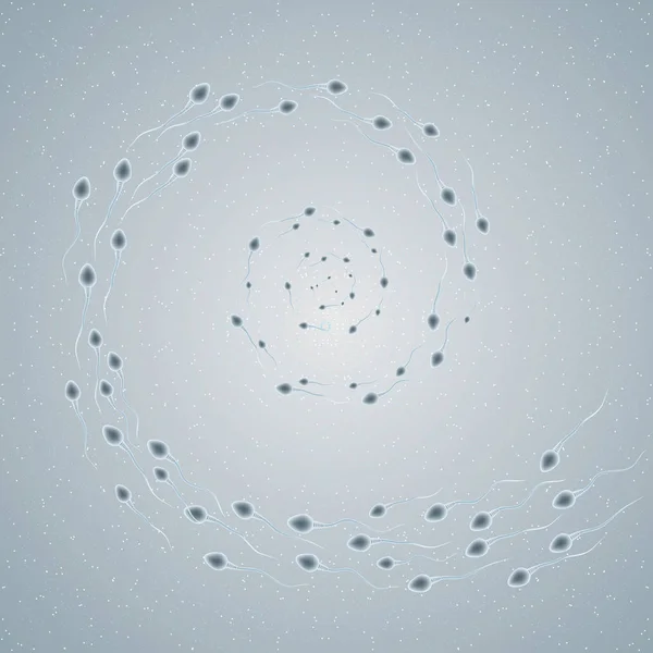 Plavání Spermie Formě Krouživým Pohybem Šedém Pozadí — Stockový vektor