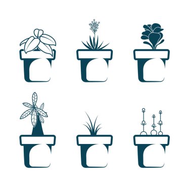 Vektör çizilmiş çiçek saksı. Beyaz arka planda yalıtılmış.