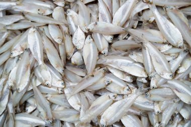 Balık lezzetli deniz ürünleri