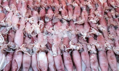 Kalamar lezzetli deniz ürünleri