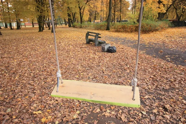 Balançoires Sur Corde Dans Parc Automne — Photo