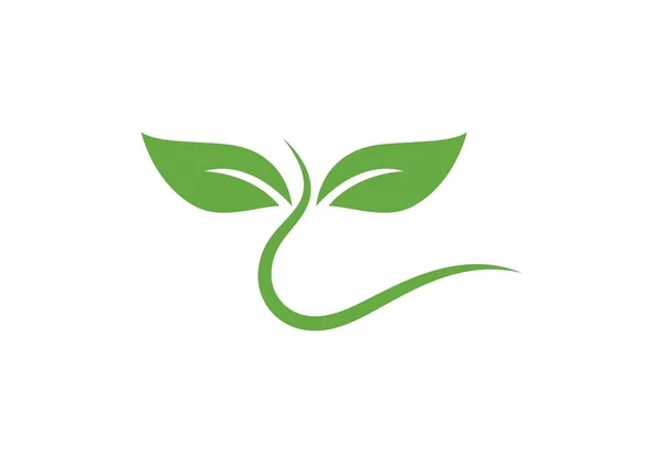 Logos Vert Feuille Écologie Élément Nature Vecteur Icône — Image vectorielle