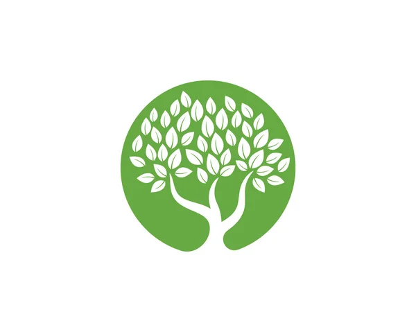 Zöld Falevél Ökológia Logók Természet Elem Vektor — Stock Vector