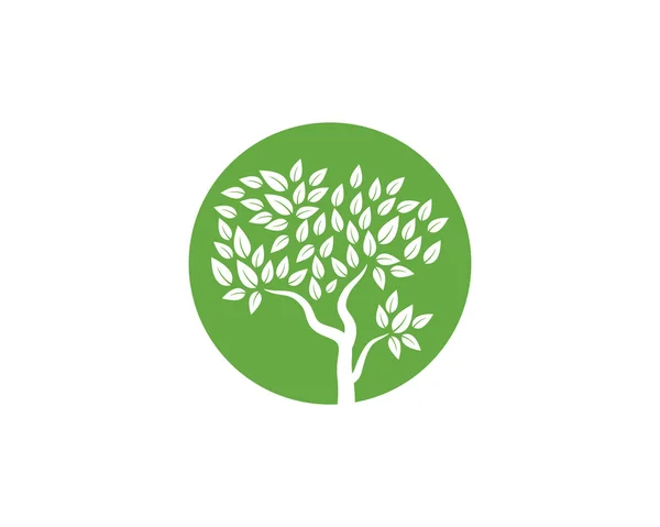 Logos Vert Feuille Arbre Écologie Élément Nature Vecteur — Image vectorielle