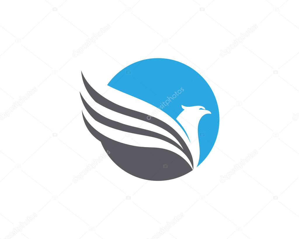 Wing Falcon Logo Template vector illustration design