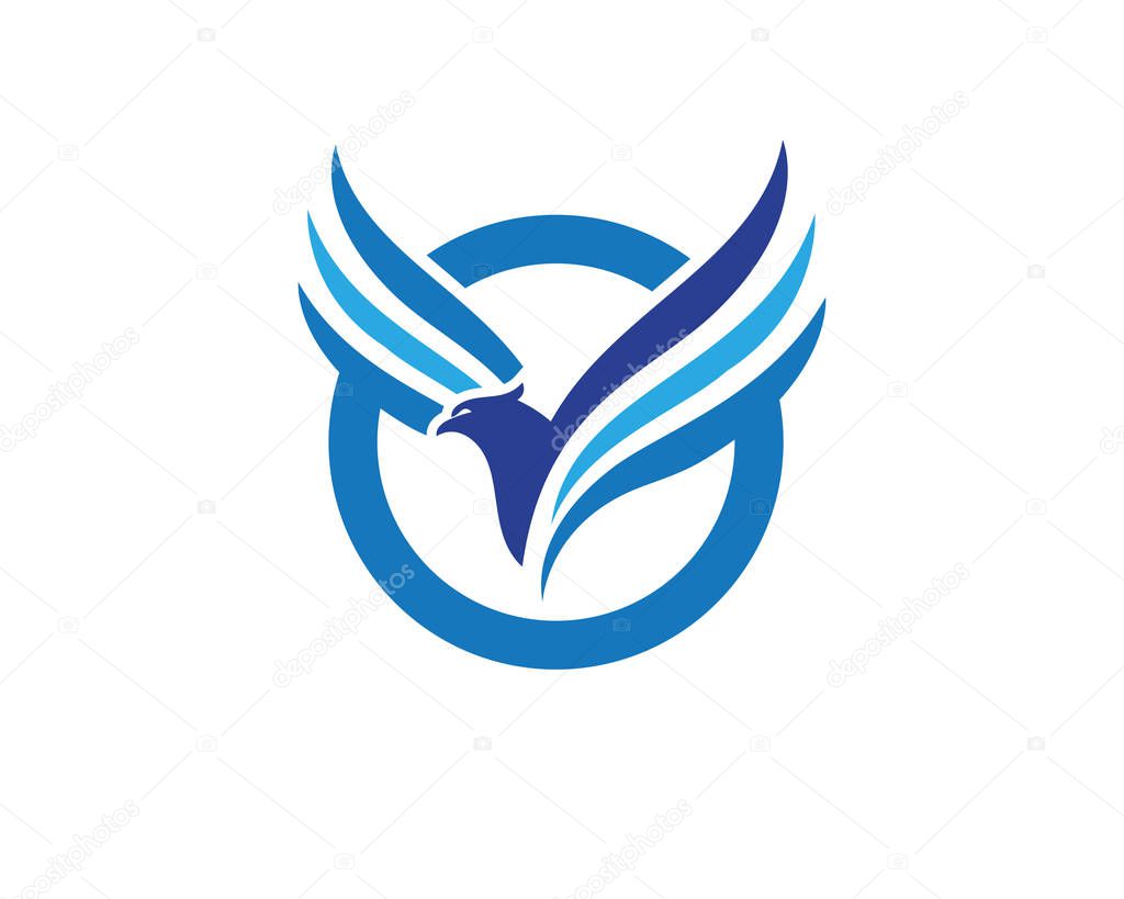 Wing Falcon Logo Template vector illustration design
