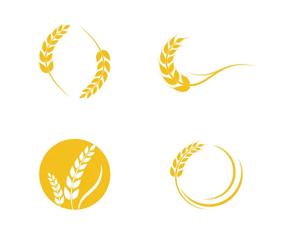 Дизайн Векторного Логотипа Сельскохозяйственной Пшеницы — стоковый вектор