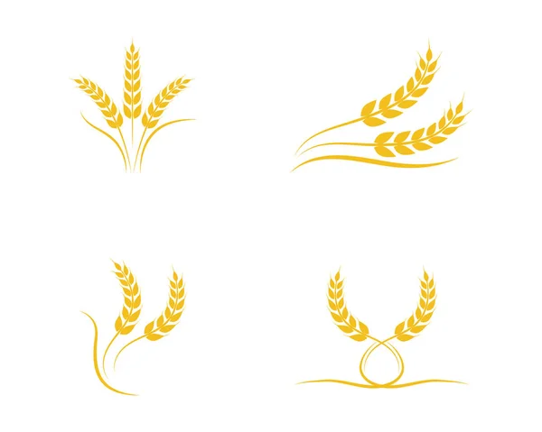 Agricultura Trigo Logotipo Plantilla Vector Icono Diseño — Archivo Imágenes Vectoriales