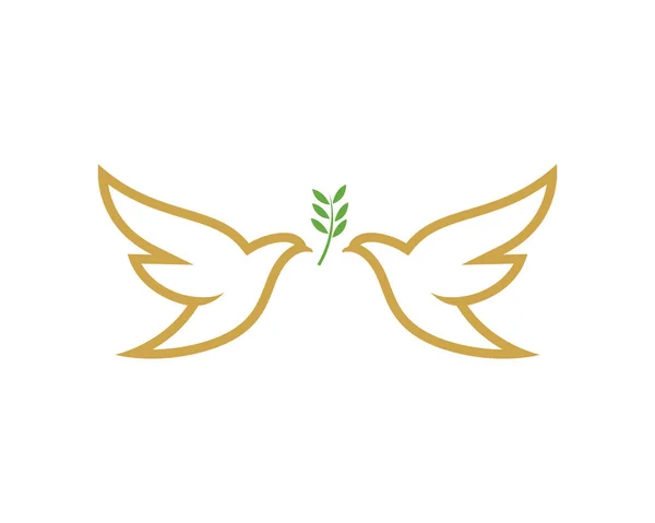 Asas Pássaro Ilustração Vetor Modelo Logotipo Pomba — Vetor de Stock