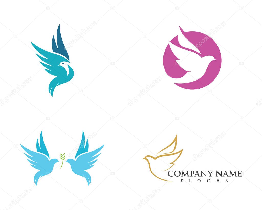 Bird wing Dove Logo Template vector illustration