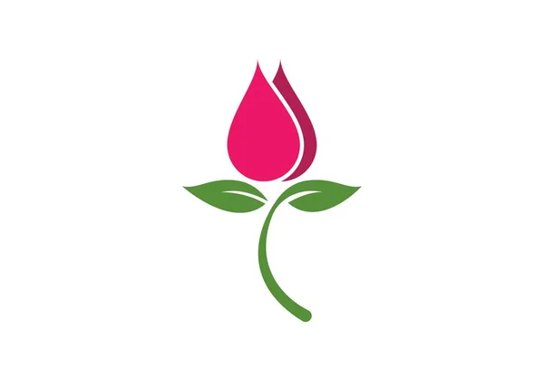 Plantilla Logotipo Flor Rosa — Vector de stock