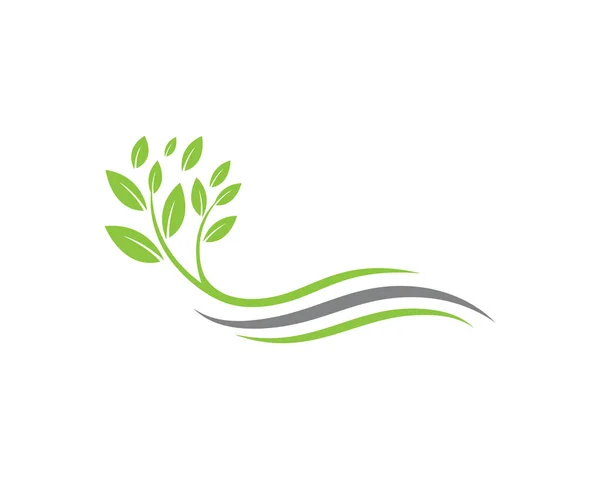 Логотипы Вектора Природных Элементов Листьев Зеленого Дерева — стоковый вектор